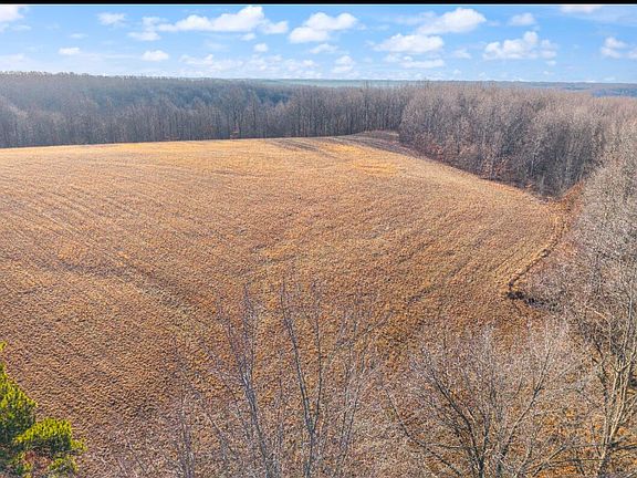 5th image of Boone Ridge Rd