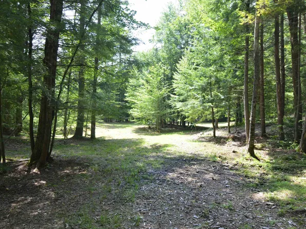 205 Shindagan Road, Wilmot, NH 03287