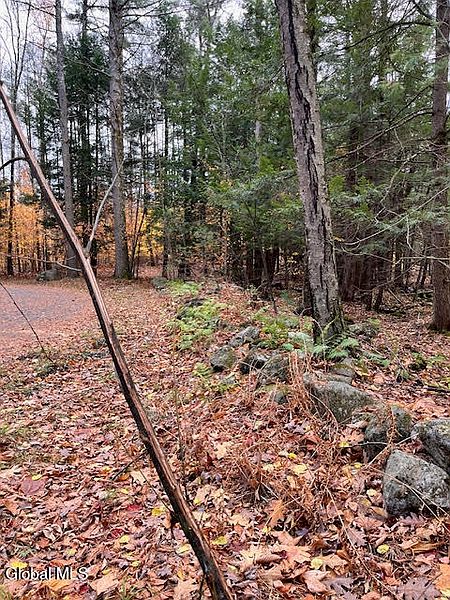 5th image of 54 Woods Hollow Drive