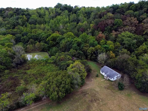 874 Earl Townsend Rd, Minor Hill, TN 38473