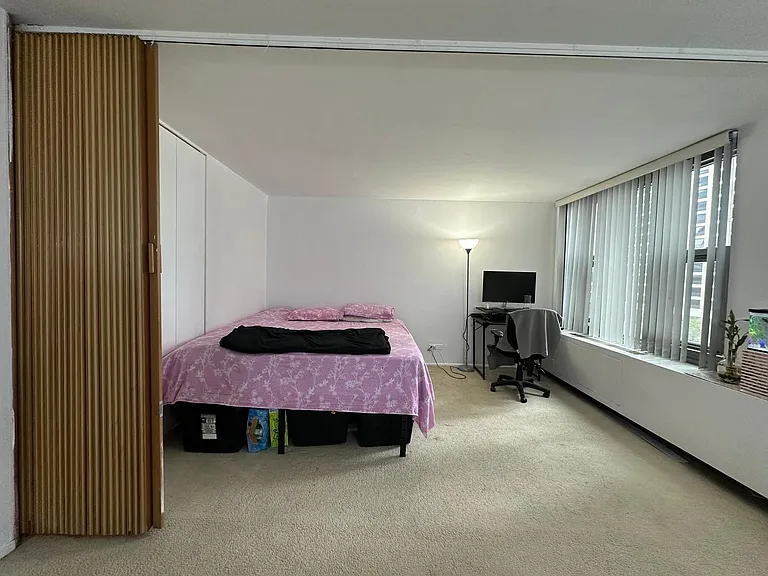 400 E Randolph St #921 — Photo 13