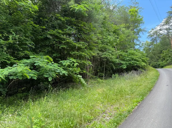Obes Branch Rd, Sevierville, TN 37876