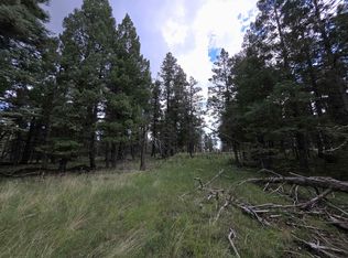 58 Big Dipper, Cloudcroft, NM 88317
