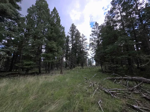 58 Big Dipper, Cloudcroft, NM 88317
