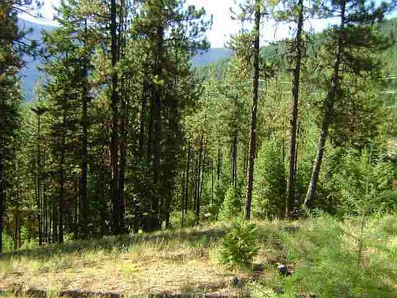3rd image of Nhn Mount Hwy #135