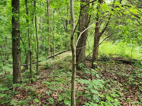 Id21 Lakeview Trl, Holladay, TN 38341