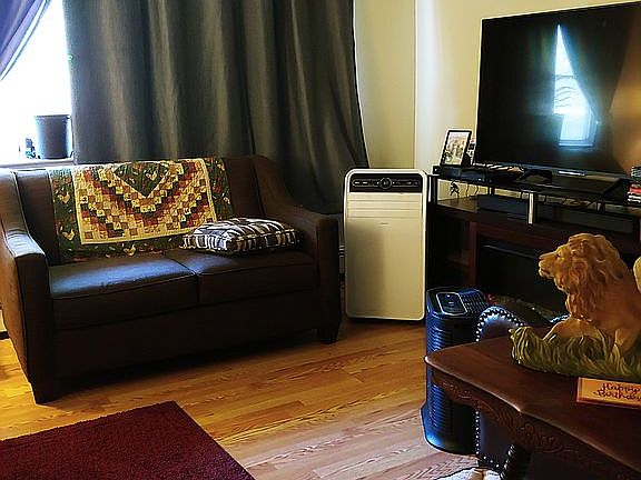 LIVING RM FACING WOODS