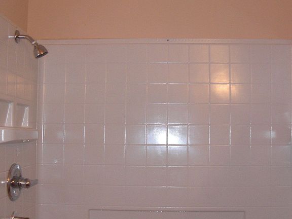 walk-in shower dual controls