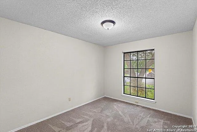 7733 Forest Strm — Photo 12