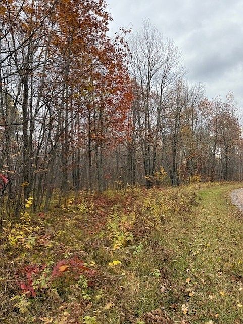 2nd image of Lot 10 N Silver Birch Drive