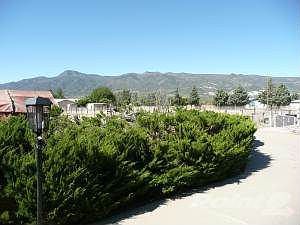 P1020279