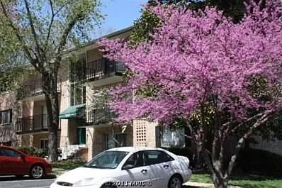 12650 Dara Dr APT 301 photo 1
