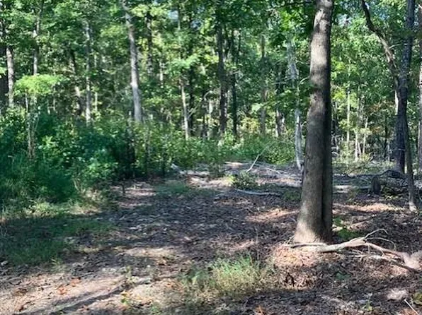 173 Madison St #410, Fredericktown, MO 63645