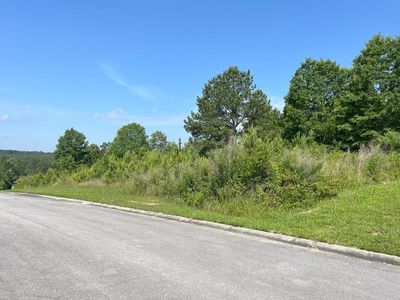 0 Stonegate Pl, Cohutta, GA, 30710