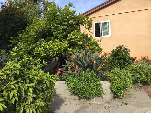 Backyard, back of the house