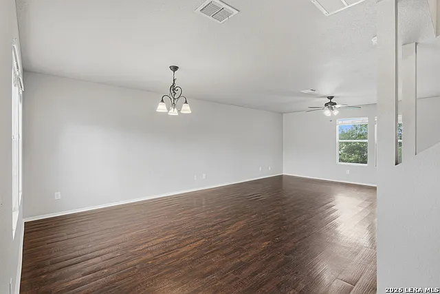 25513 Gold Yarrow — Photo 6