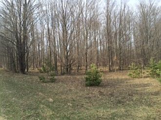 1st image of 2231 Bowerman Road- Vacant Land
