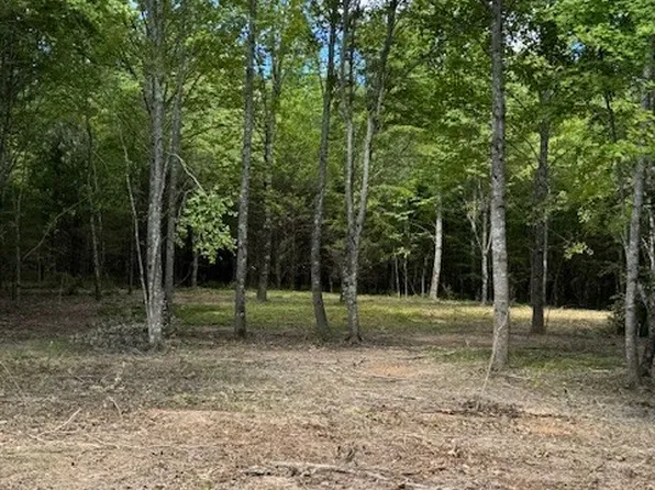 0 Carter Rd, Westmoreland, TN 37186