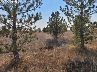 828 Ute Ave, Simla, CO 80835