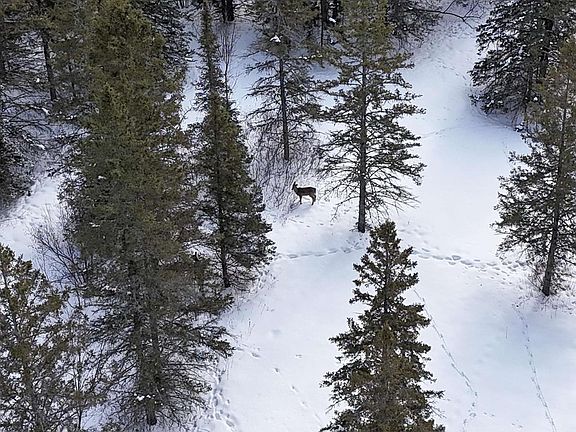 4th image of 89.85 Acres S Pellman Lp