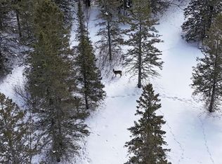 S Pellman Loop, Maple, WI 54854