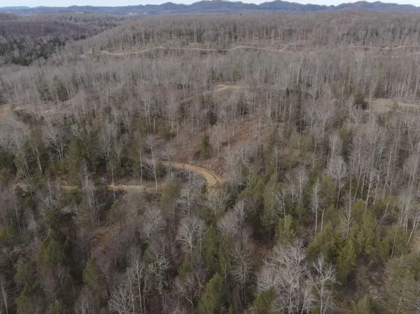 Ward Road & Trimble Rd, Nettie, WV 26681