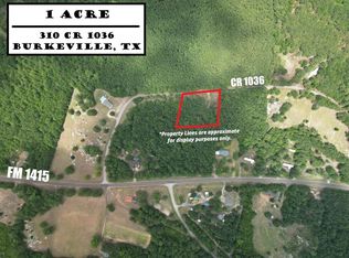 310 County Road 1036, Burkeville, TX 75932