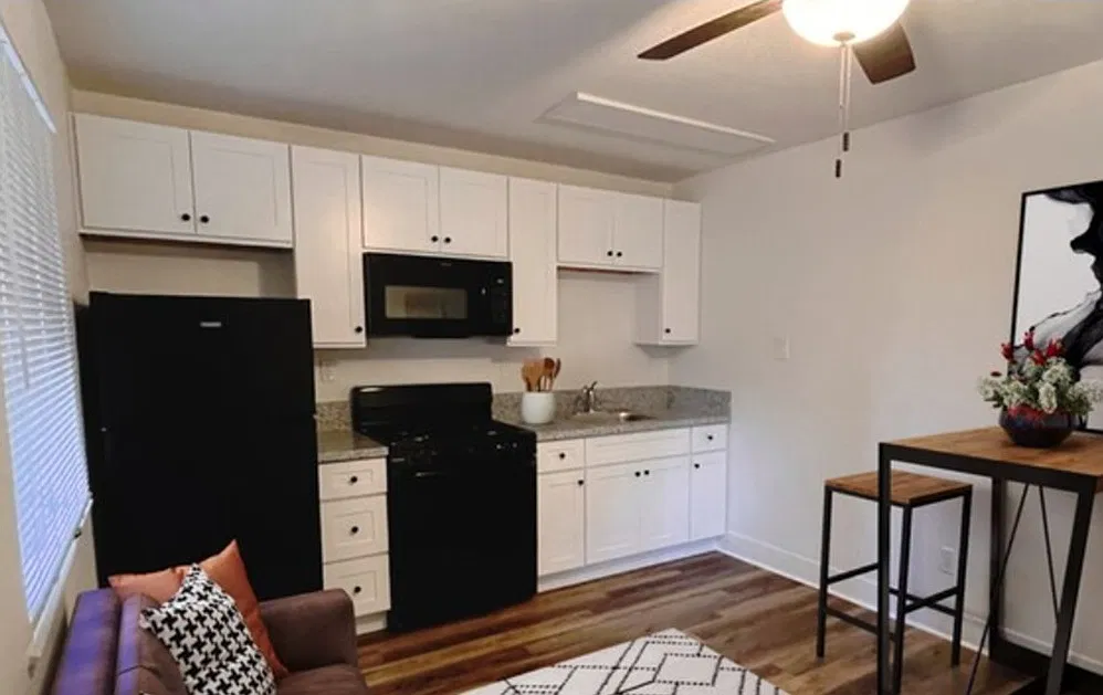 1 bed, 400 sqft, $1,725 — Photo 1