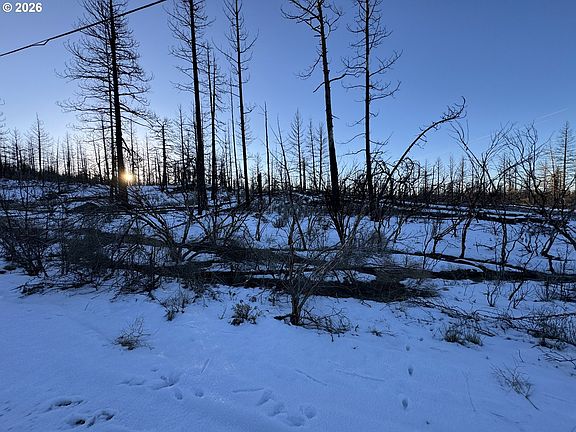 3rd image of Hummingbird Dr #1