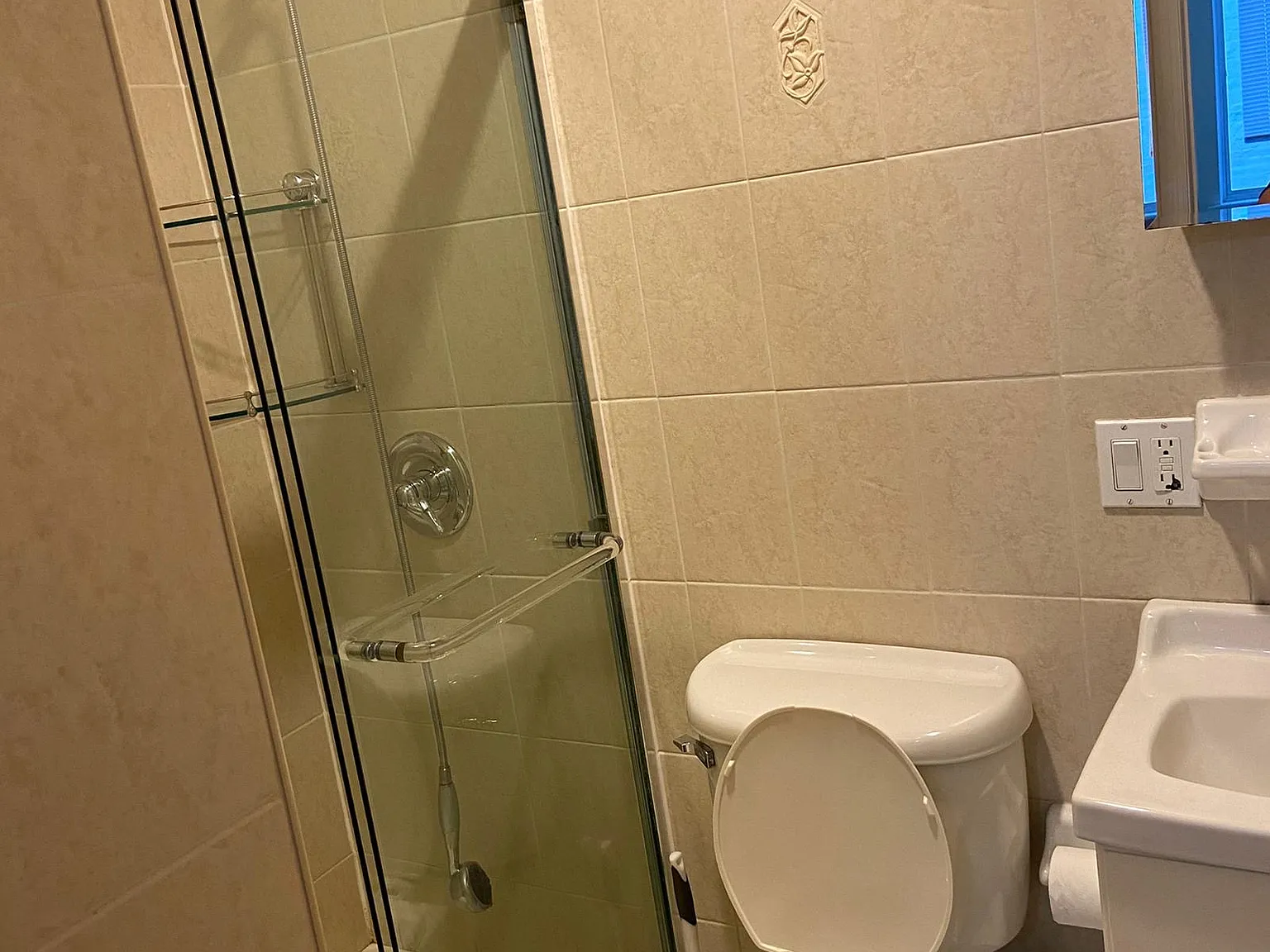 3 bed, 1050 sqft, $3,300 — Photo 4