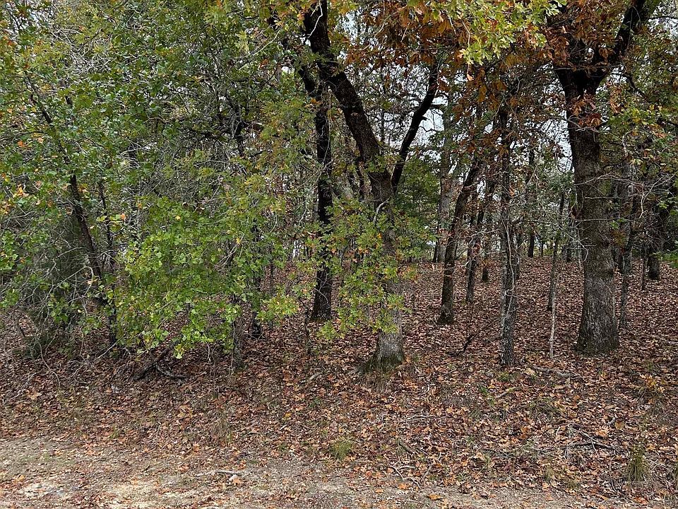 2nd image of Pedernales