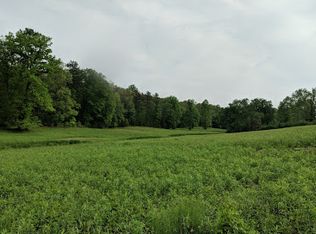 0 Spur #60, Blue Ridge, GA 30513