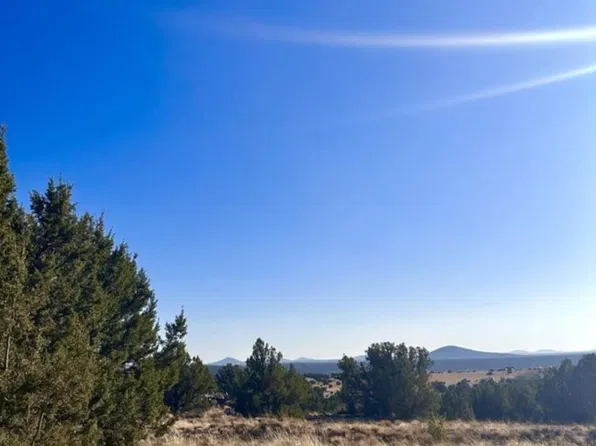 14 8249 -- #38, Concho, AZ 85924