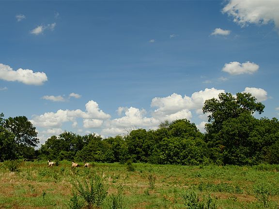 5th image of Fm 901