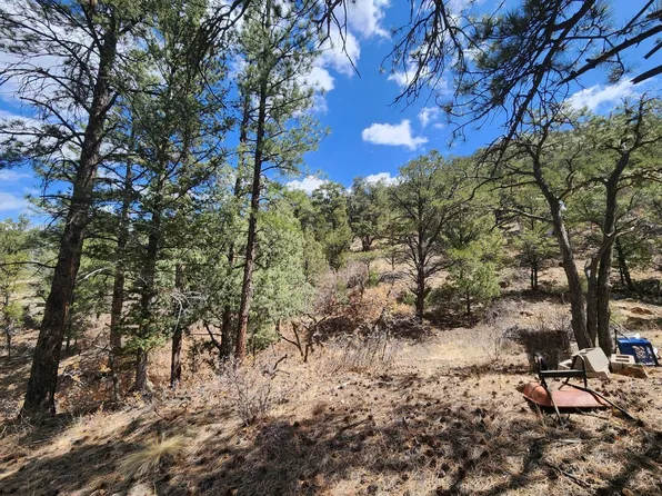 17th Trl, Cotopaxi, CO 81223