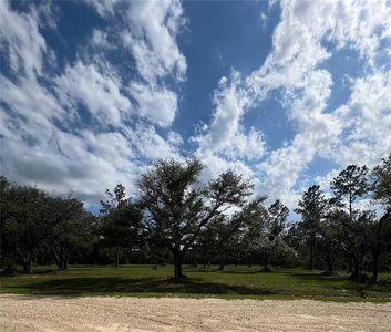 Clear Creek Ln, Covington, LA, 70435