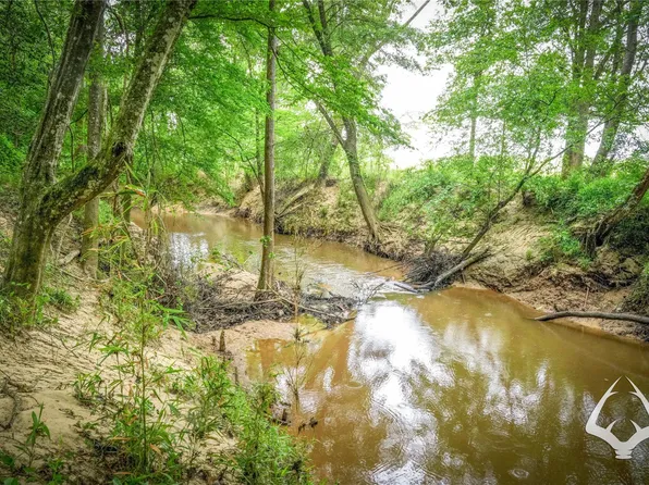 0 Dorsey Rd, Hemphill, TX 75948