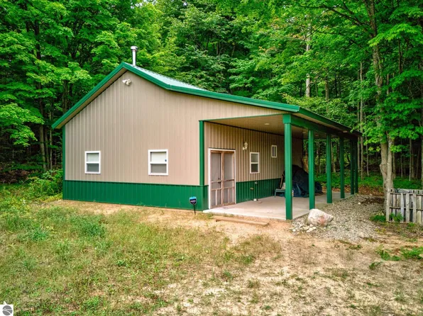 7443 Honey Hollow Rd, Bellaire, MI 49615