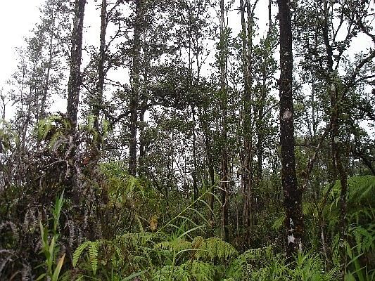 2nd image of Road 2 Lot 2929