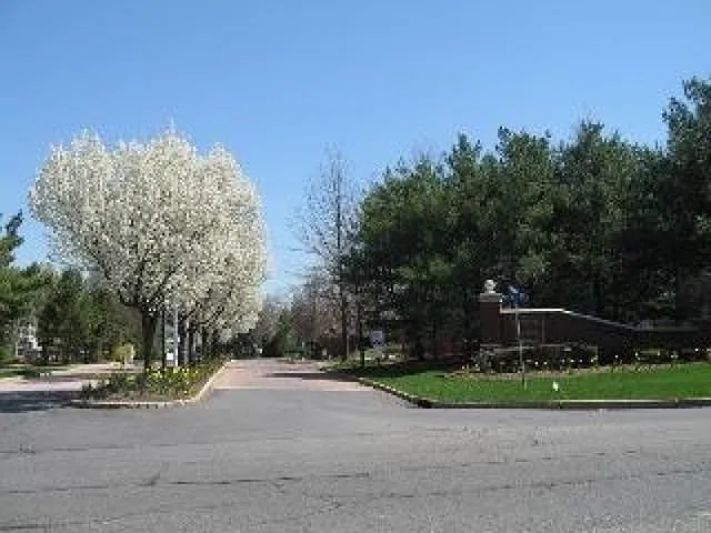 3 Ruby Ct — Photo 33