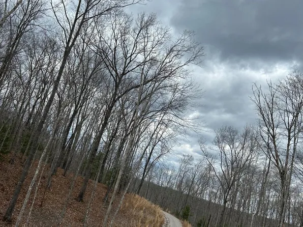 Hardwood Ct, Oneida, TN 37841