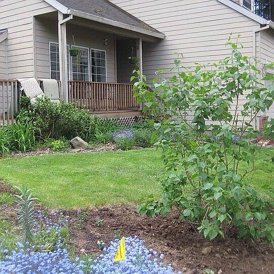 1st image of 13021 SW Creekshire Dr