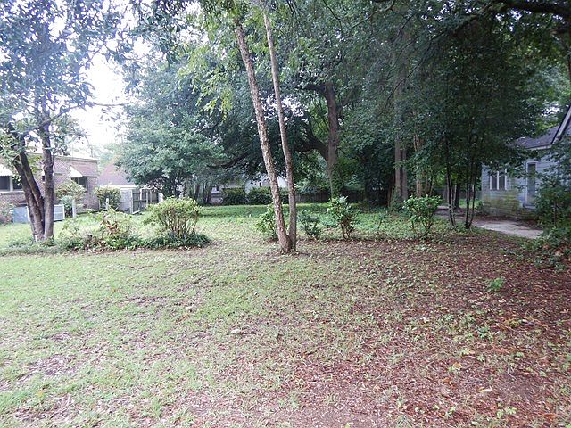 2nd image of 113 Anne Park