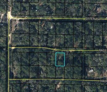0 Raccoon Run, Bonifay, FL, 32425