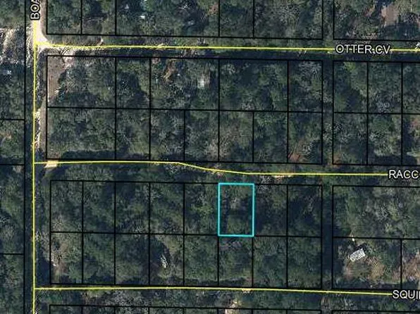 0 Raccoon Run, Bonifay, FL 32425