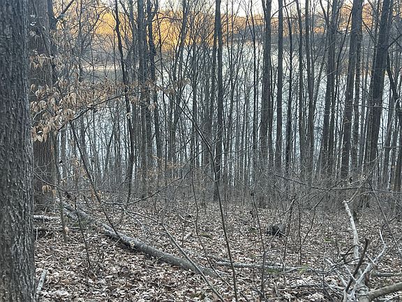 2nd image of 0 Back Bone Rd
