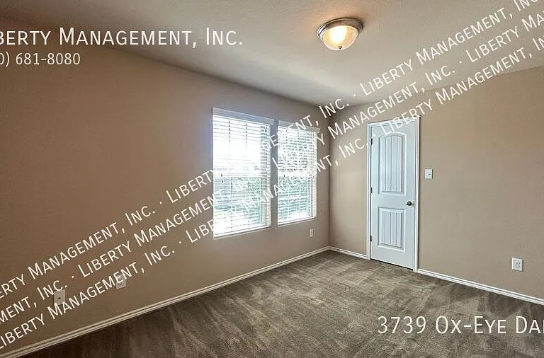 3739 Ox Eye Daisy — Photo 27