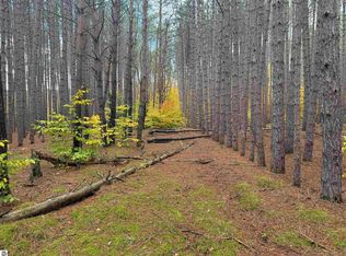 0 Deer Run Dr, Cadillac, MI 49601