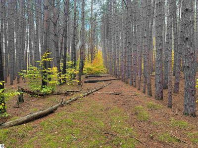 0 Deer Run Dr, Cadillac, MI, 49601