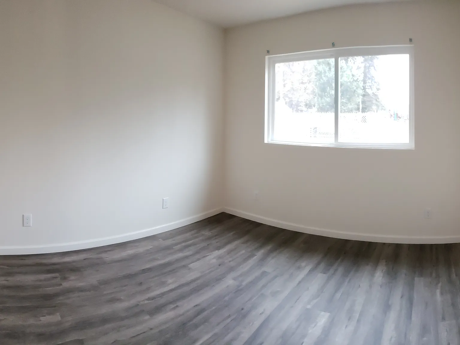 1 bed, 549 sqft, $2,000 — Photo 4